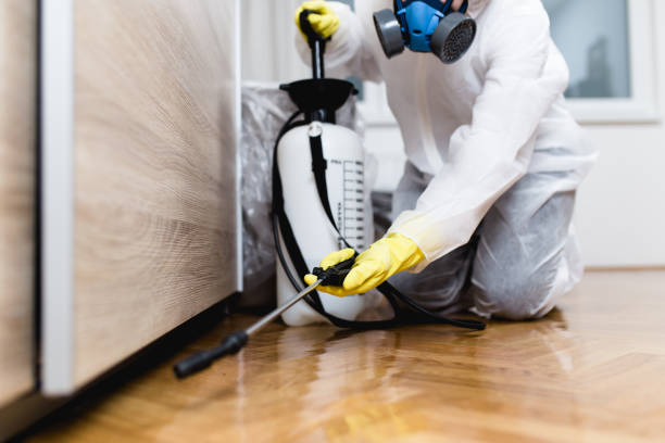 Best Cockroach Control Services  in Sheffield Lake, OH