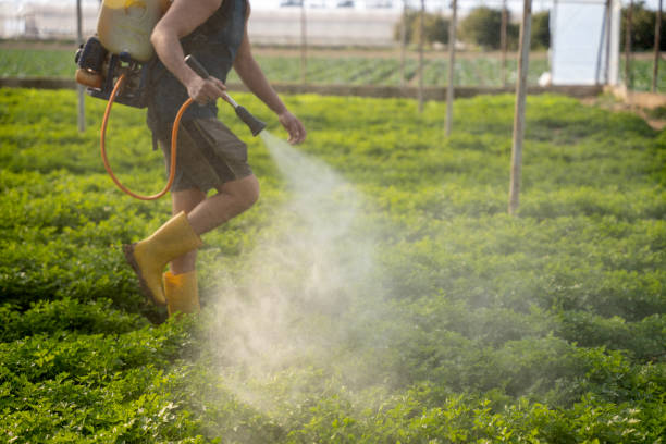 Professional Pest Control in Sheffield Lake, OH