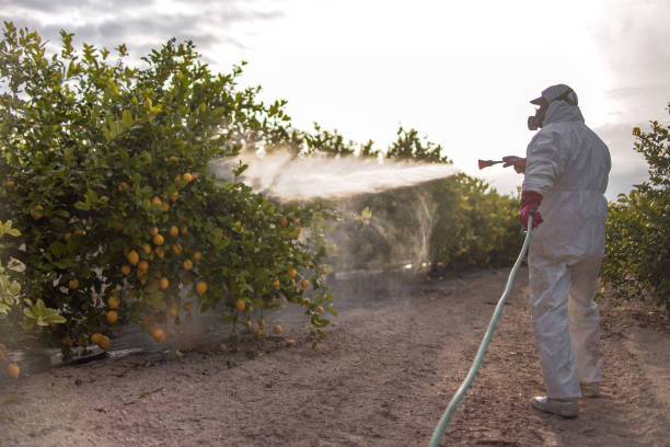 Best Affordable Pest Control Services  in Sheffield Lake, OH