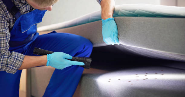 Best Pest Prevention Services  in Sheffield Lake, OH