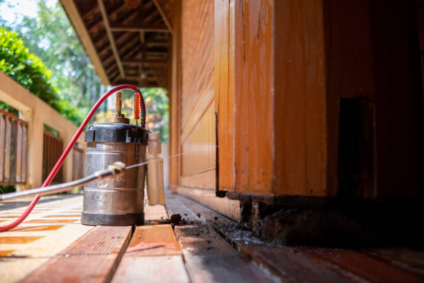 Best Termite Control Services  in Sheffield Lake, OH