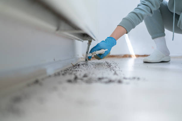 Pest Control for Restaurants in Sheffield Lake, OH